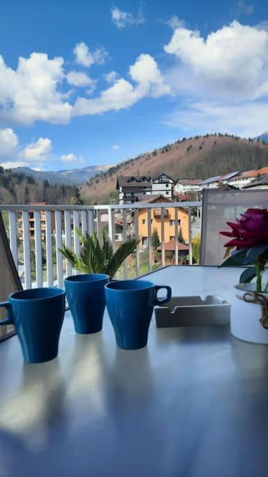 Apartament Erika Premium Sinaia Exterior foto